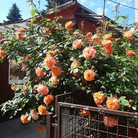 28 巴伊纳巴什塔