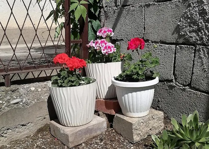 28 באינה באשטה