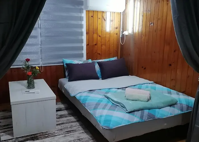 28 באינה באשטה